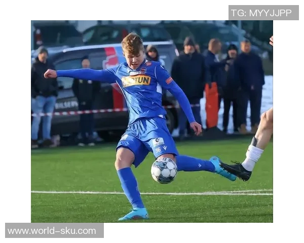 维迪奇：从坚如磐石的防线到足球历史中的传奇中卫