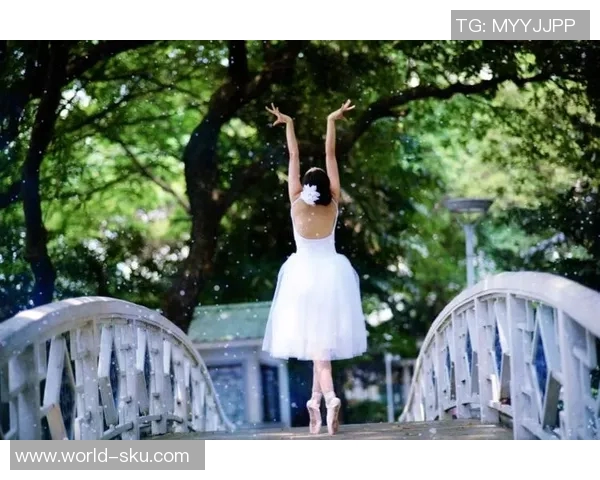 足球场上的优雅舞者：法国球星用脚步书写传奇的激情与荣耀