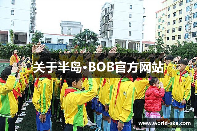 关于半岛·BOB官方网站